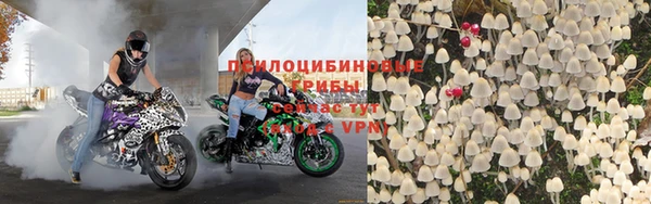 амф Абаза