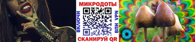 Псилоцибиновые грибы ЛСД  Щёкино 